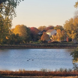 a lake with trees