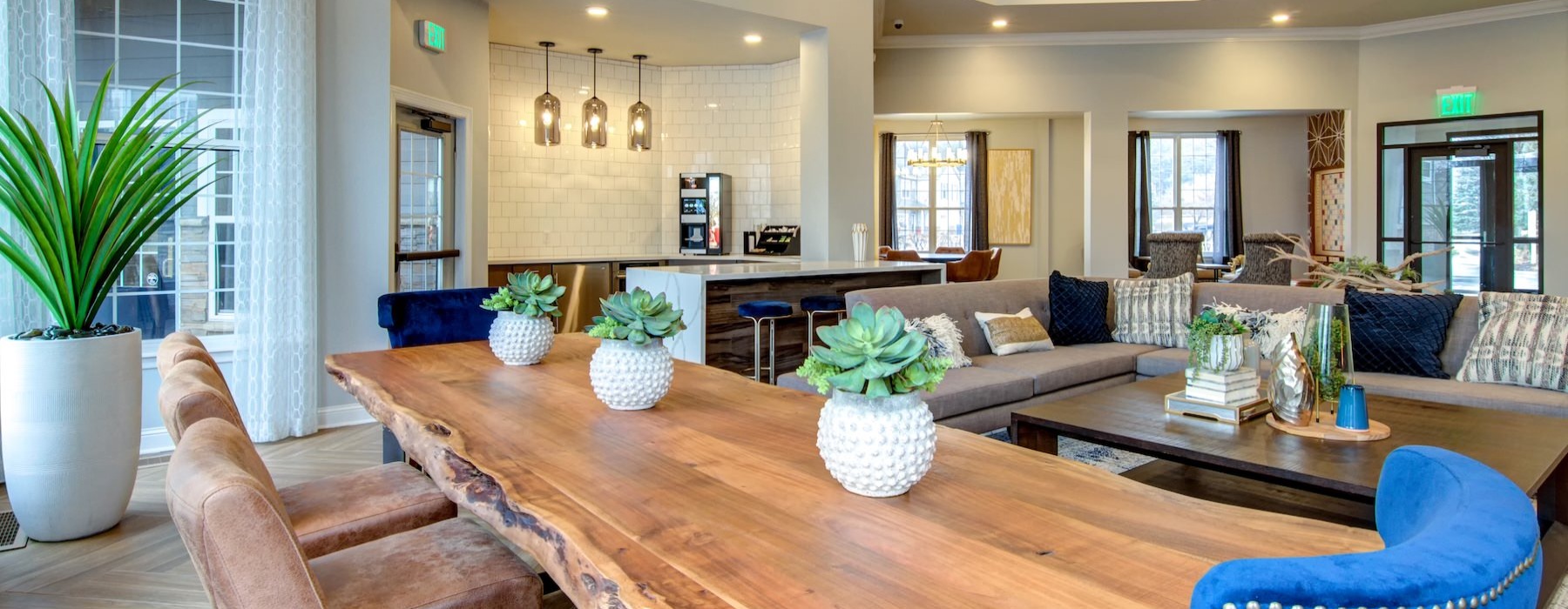 a clubroom with plants, tables and chairs